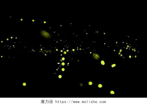 萤火虫简约黄色光效素材